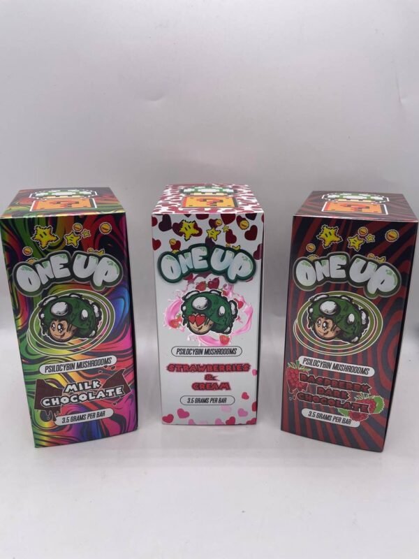 One Up Mushroom Bars - Image 2