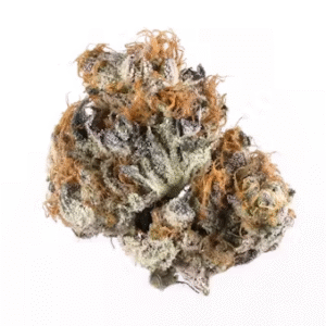 Blueberry