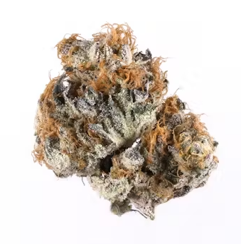 Blueberry