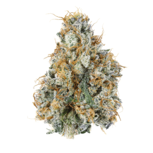 Gary Payton THCa Flower