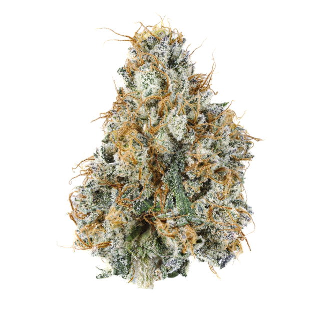 Gary Payton THCa Flower