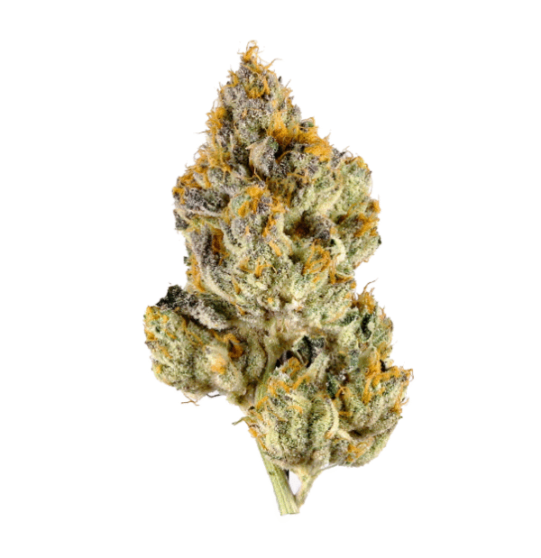 Oreoz THCa Flower