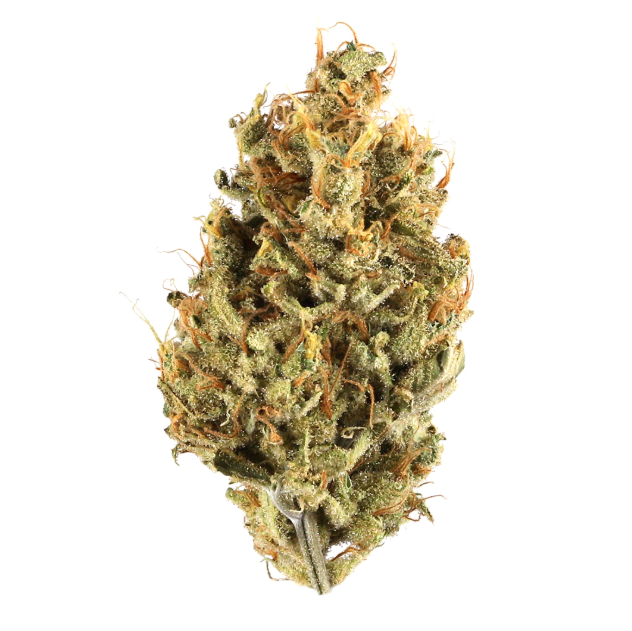 Gushers THCa Flower