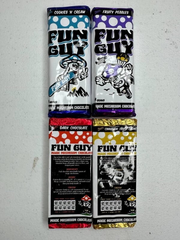 FUN GUY