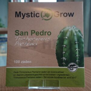 SAN PEDRO SEEDS (TRICHOCEREUS PACHANOI)
