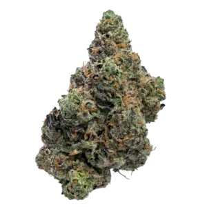 Cherry Cosmos Strain