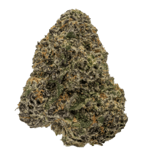 Cherry Sangria Strain