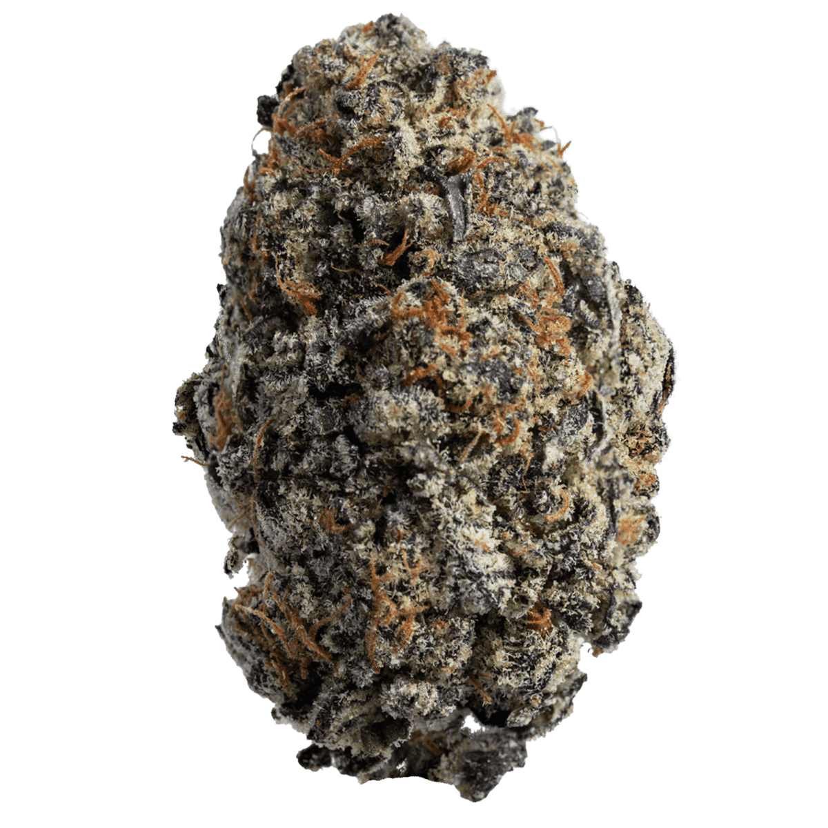 Galactic Warheads Strain