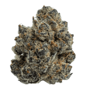 Gary Runtz Strain