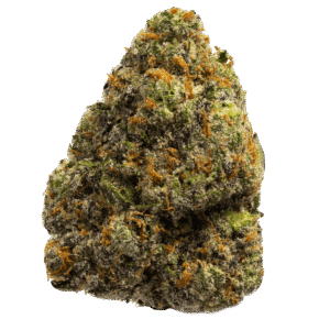 Lemon Royal Strain