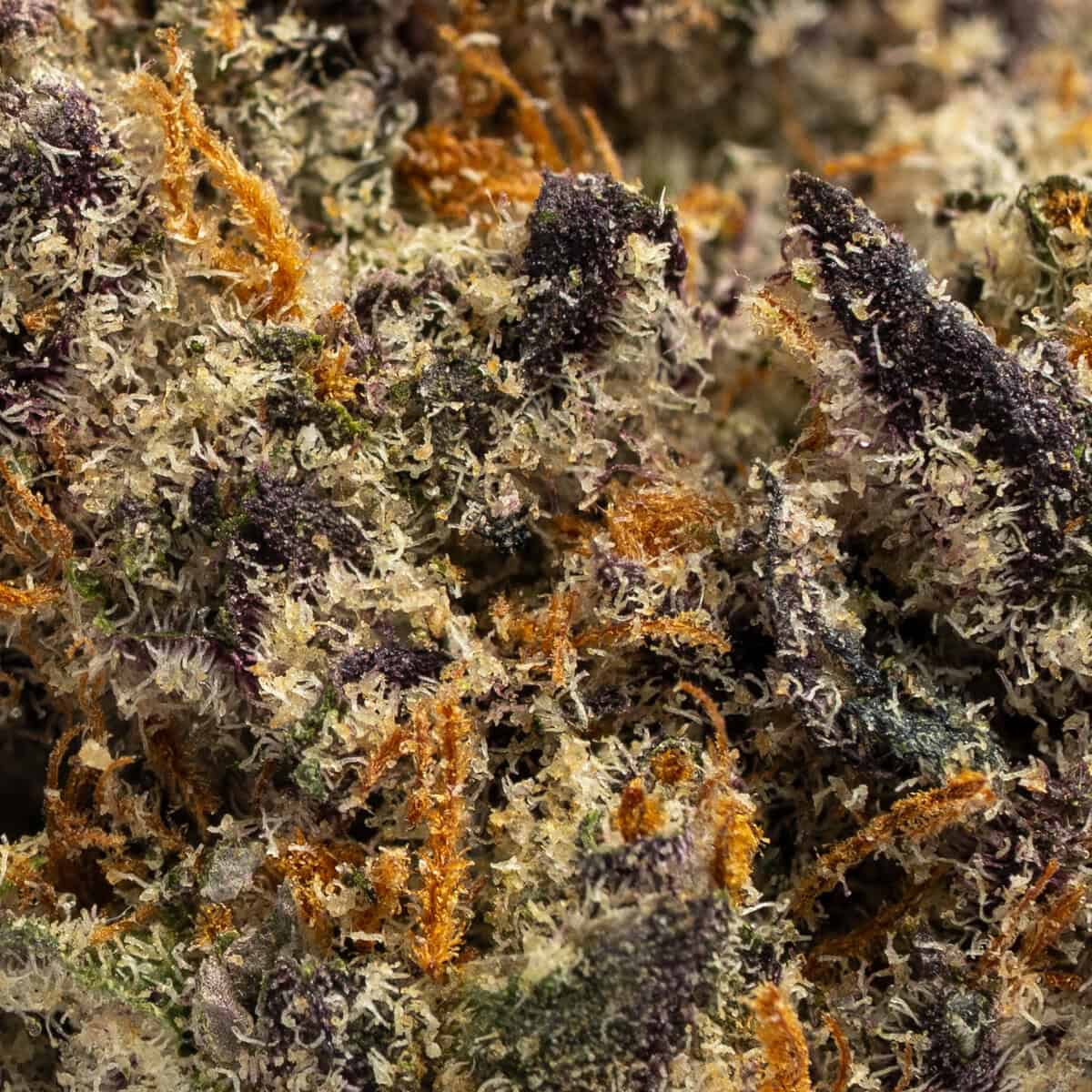 Money Ball - Image 2