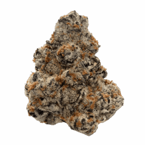 Northern Lights Strain