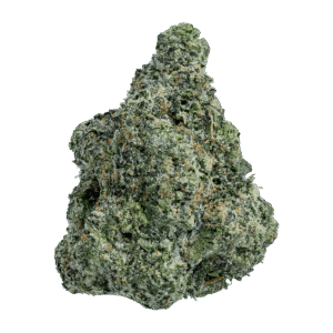 Presidential Runtz Strain