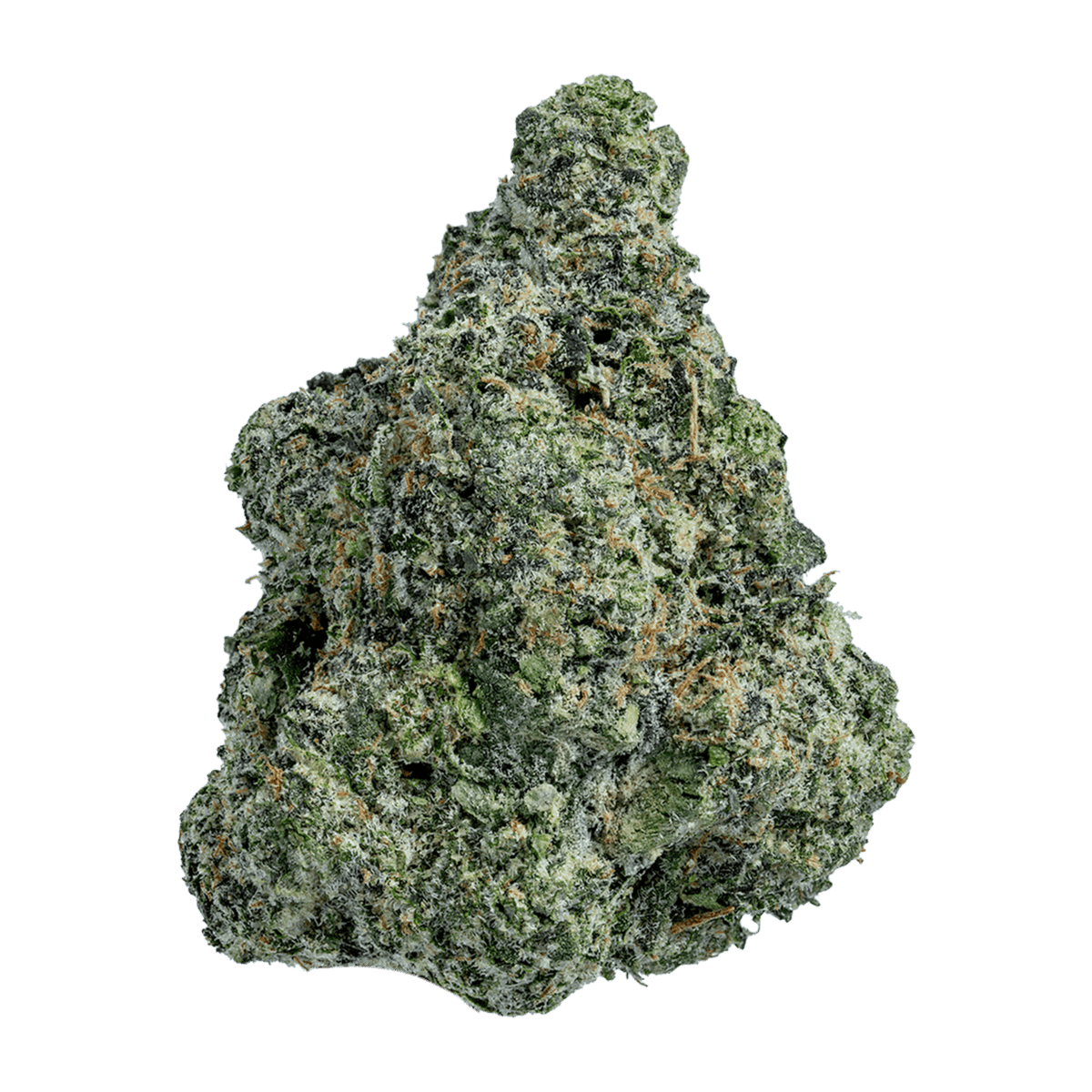 Presidential Runtz Strain