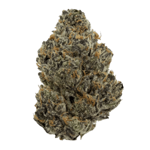 Purple Voodoo strain