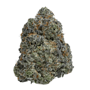 Sherbet Strain