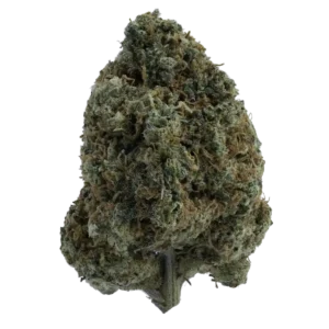 Super Lemon Haze Strain