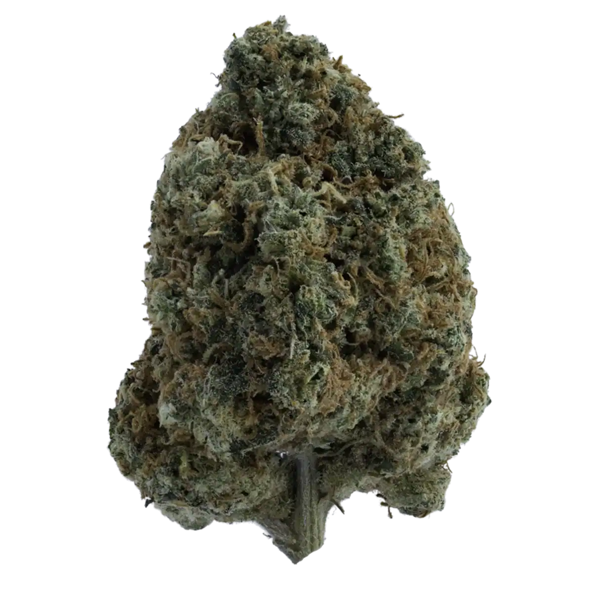 Super Lemon Haze Strain