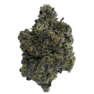 Spritzer Strain
