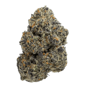 Strawberry Guava Strain