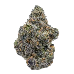 Sunset Sherbet Strain