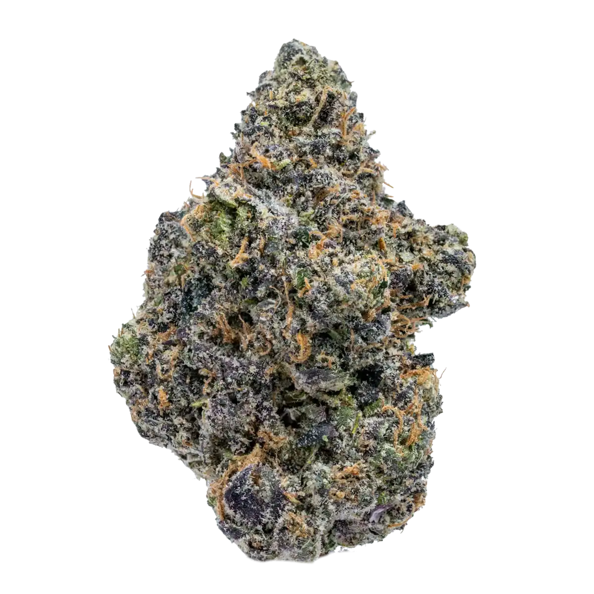 Sunset Sherbet Strain