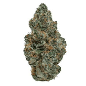 Super Boof Strain Overview