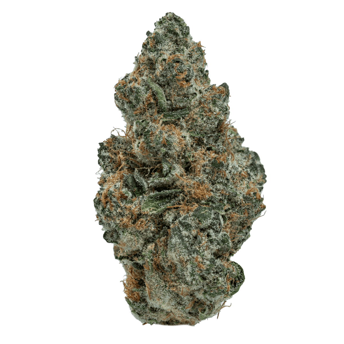 Super Boof Strain Overview